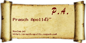 Prasch Apolló névjegykártya